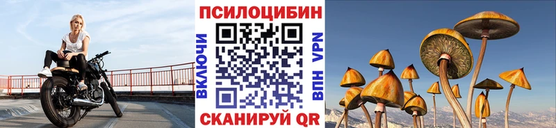 магазин    блэк спрут маркетплейс  Псилоцибиновые грибы Psilocybine cubensis  Остров 